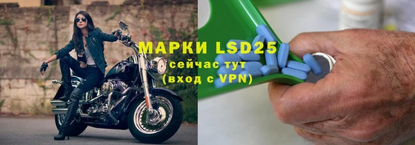 ГАЛЛЮЦИНОГЕННЫЕ ГРИБЫ Арсеньев