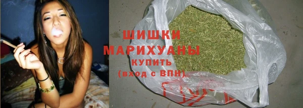 ГАЛЛЮЦИНОГЕННЫЕ ГРИБЫ Арсеньев