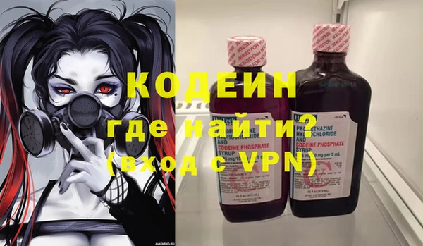 ГАЛЛЮЦИНОГЕННЫЕ ГРИБЫ Арсеньев