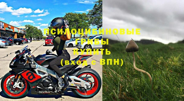 дмт Алексин