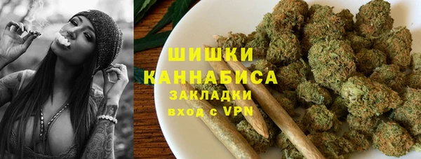 ГАЛЛЮЦИНОГЕННЫЕ ГРИБЫ Арсеньев
