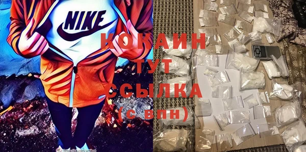 ГАЛЛЮЦИНОГЕННЫЕ ГРИБЫ Арсеньев