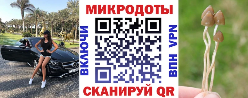 кракен как зайти  Узловая  Галлюциногенные грибы Psilocybe 
