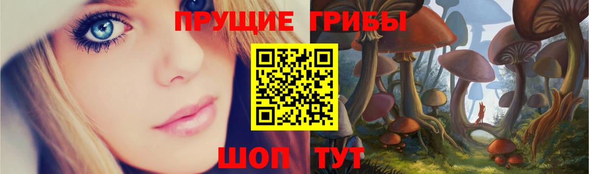 Узловая  Псилоцибиновые грибы ЛСД  Вход с VPN 